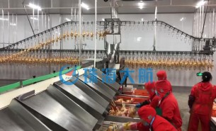 復工后禽肉屠宰加工產(chǎn)量提不上去？快用珠海大航重量分選機