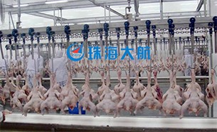重量分揀設備如何實現(xiàn)整雞分選？