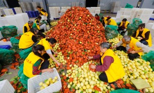 自動化分揀稱重設備：助力生鮮、凍貨及食品加工行業(yè)突破瓶頸